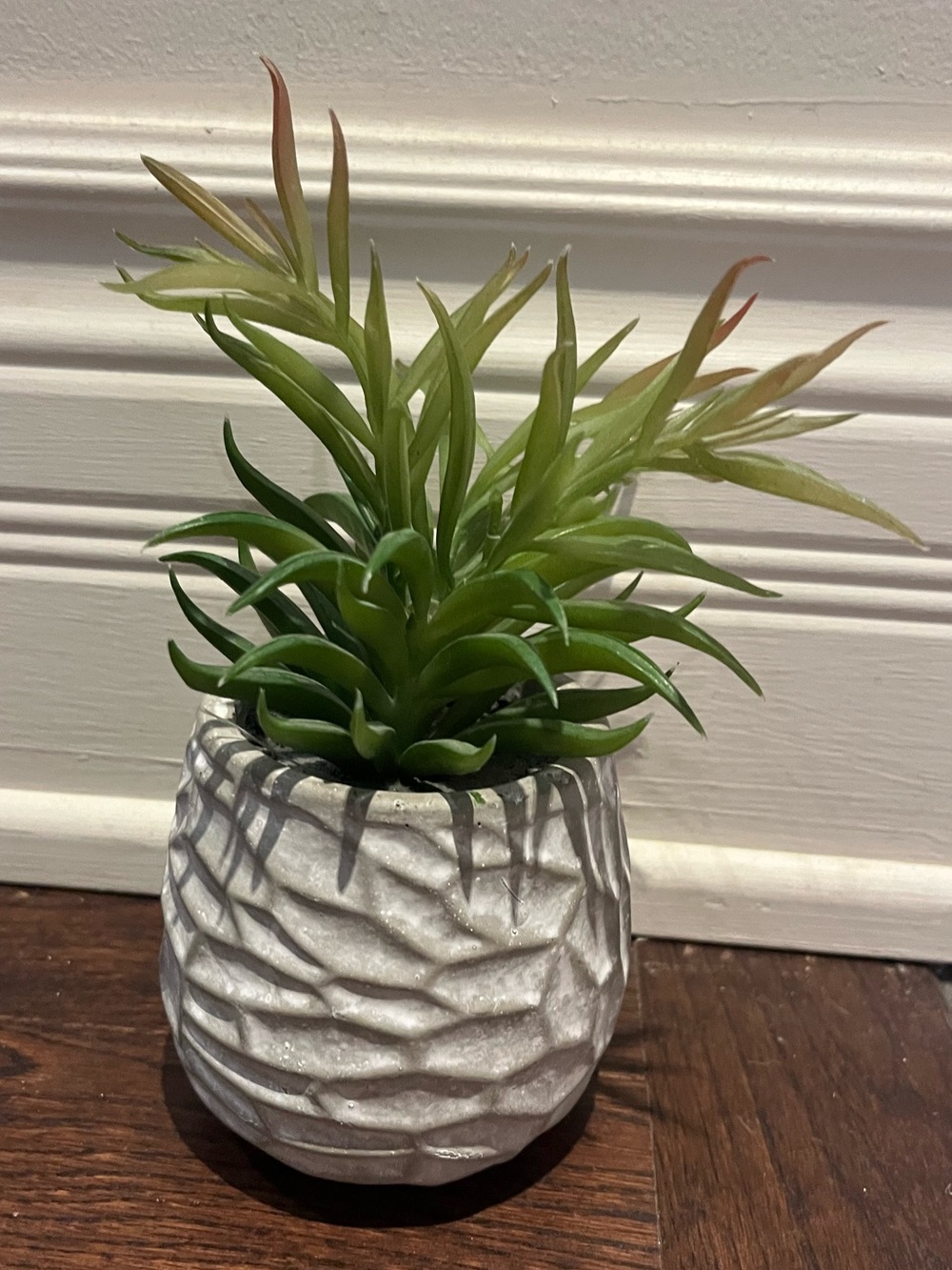 Green Faux Succulent in Textured White Ceramic Pot by